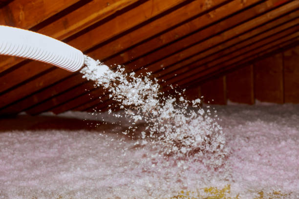 Best DIY Insulation Kits and Guidance in Preston, ID