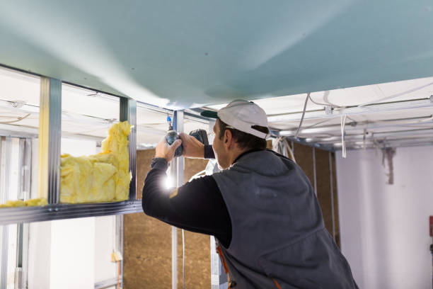 Best Geographic-Specific Insulation Services in Preston, ID