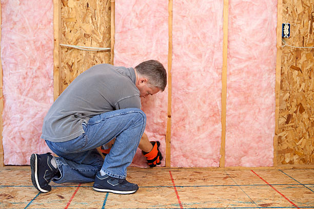 Best Eco-Friendly Insulation in Preston, ID
